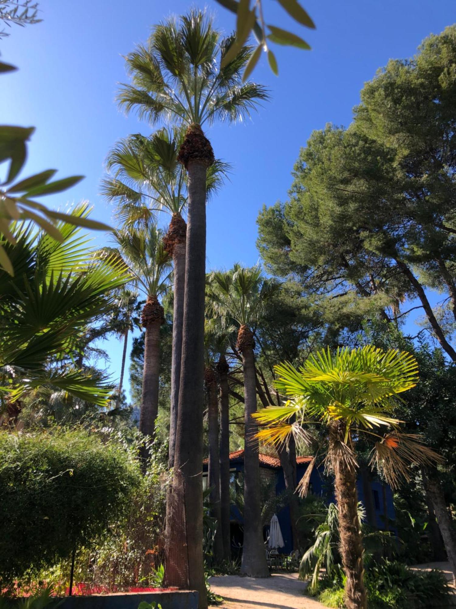 El Botanico De Sagra Hotel Exterior photo